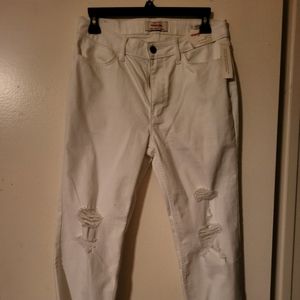 NWT Wrangler Jeans.